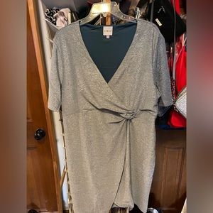 Serra ALDI silver sparkle dress. NWOT